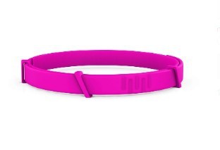 UltraShield 8-Month Flea & Tick Collar