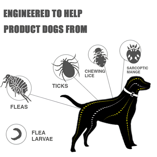 UltraShield 8-Month Flea & Tick Collar